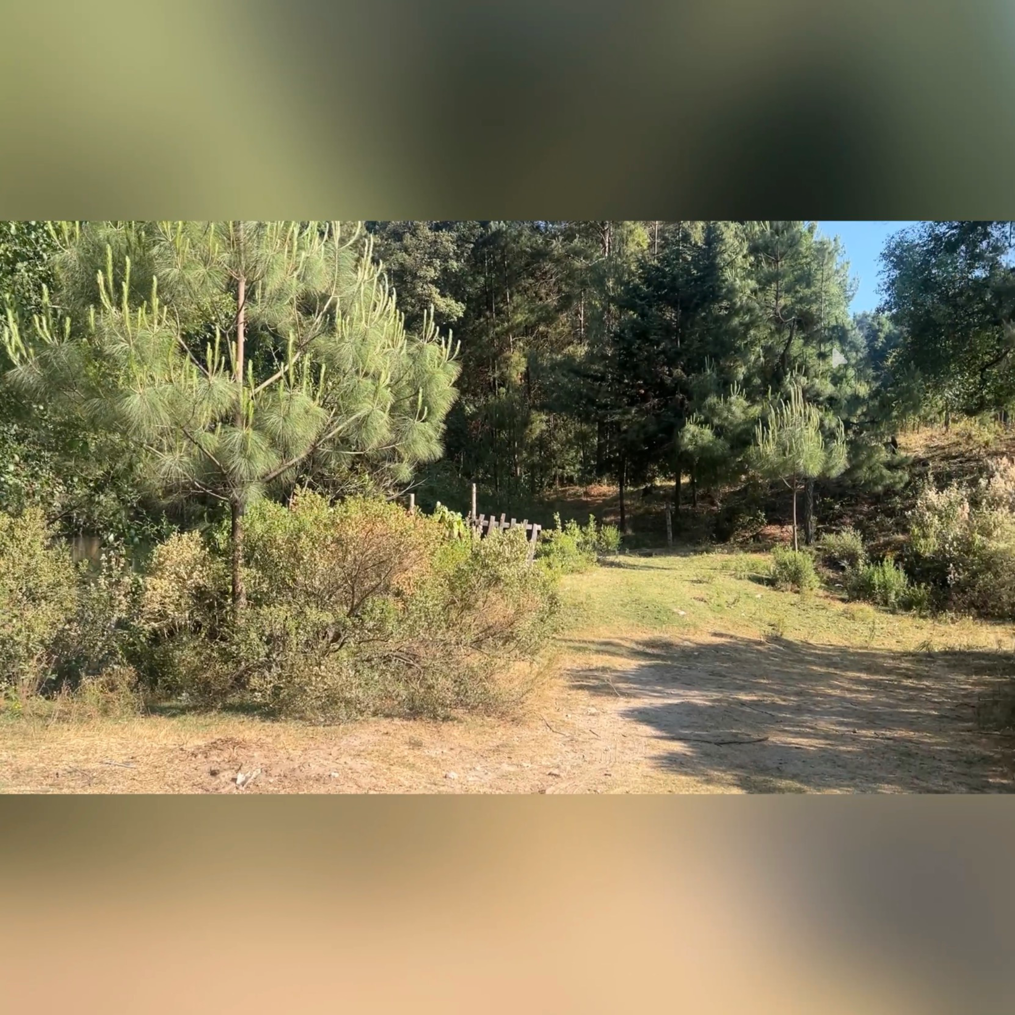 TERRENO EN LOS AZUFRES MICHOACÁN