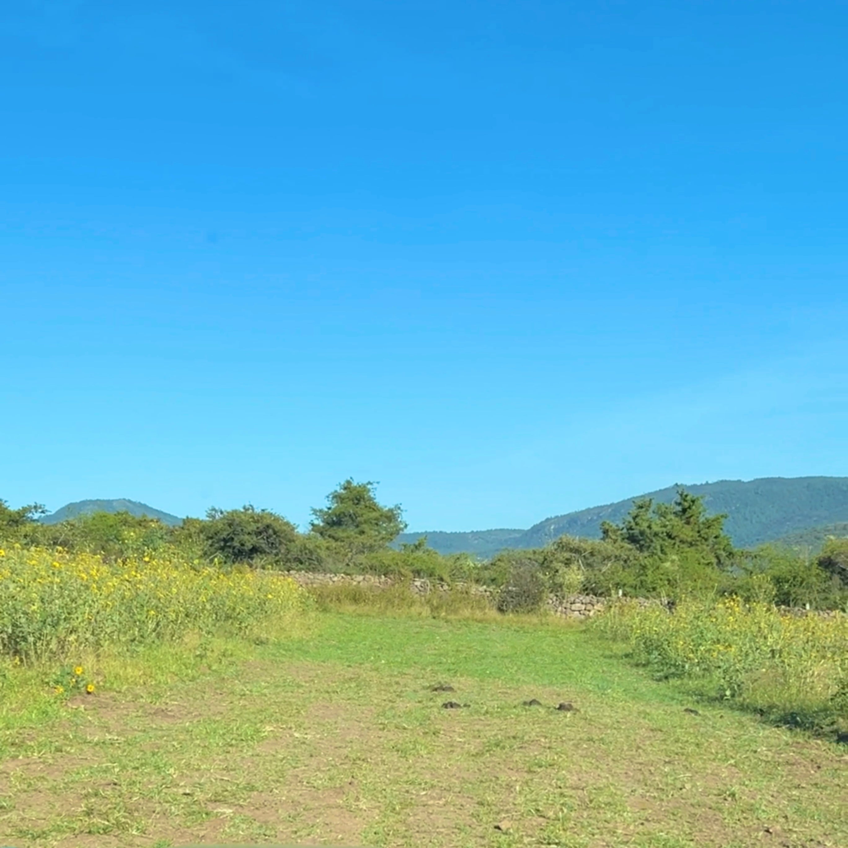 TERRENOS RÚSTICOS A CRÉDITO EN ZINAPÉCUARO MICHOACÁN • RUMBO A LOS BALNEARIOS DE HUINGO