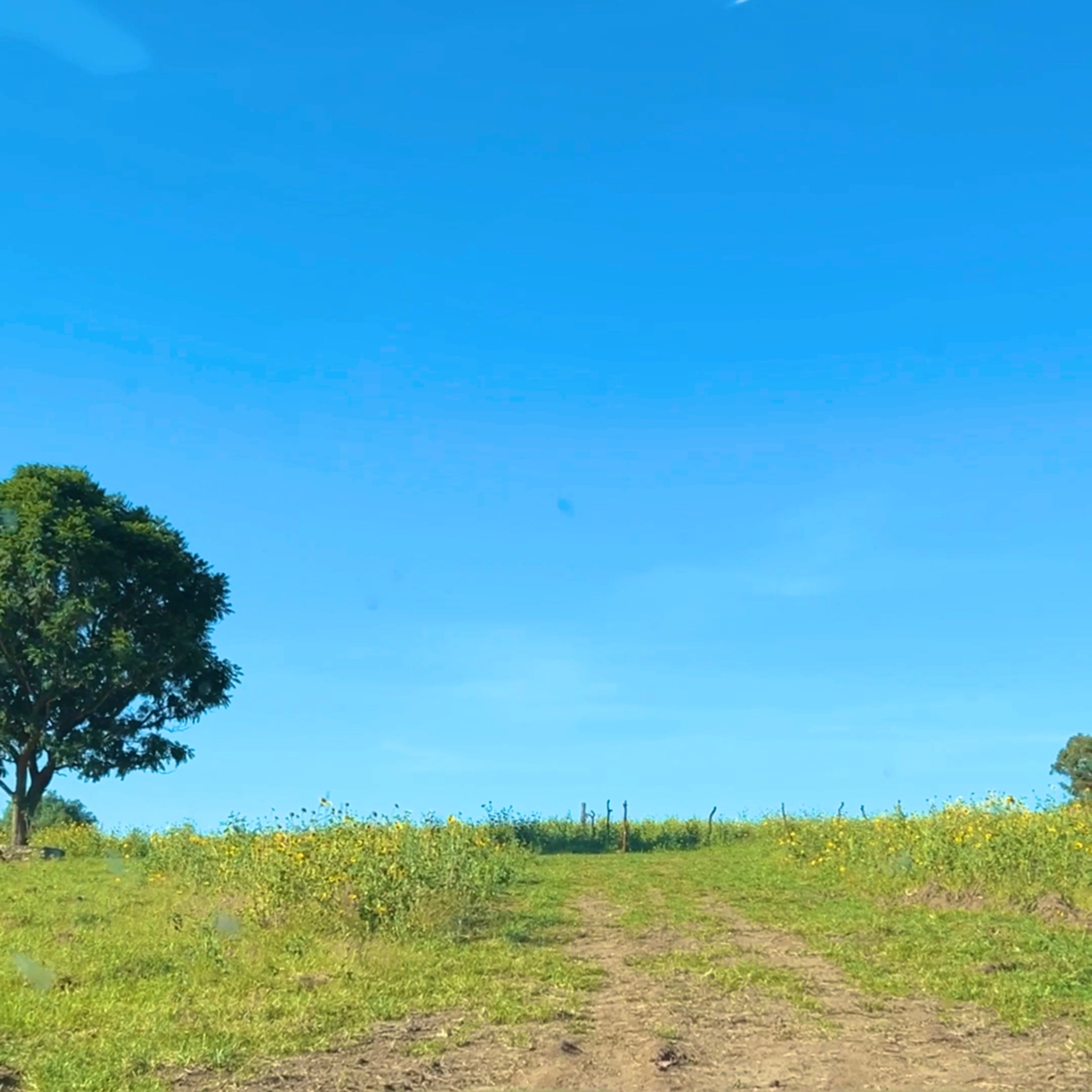 TERRENOS RÚSTICOS A CRÉDITO EN ZINAPÉCUARO MICHOACÁN • RUMBO A LOS BALNEARIOS DE HUINGO