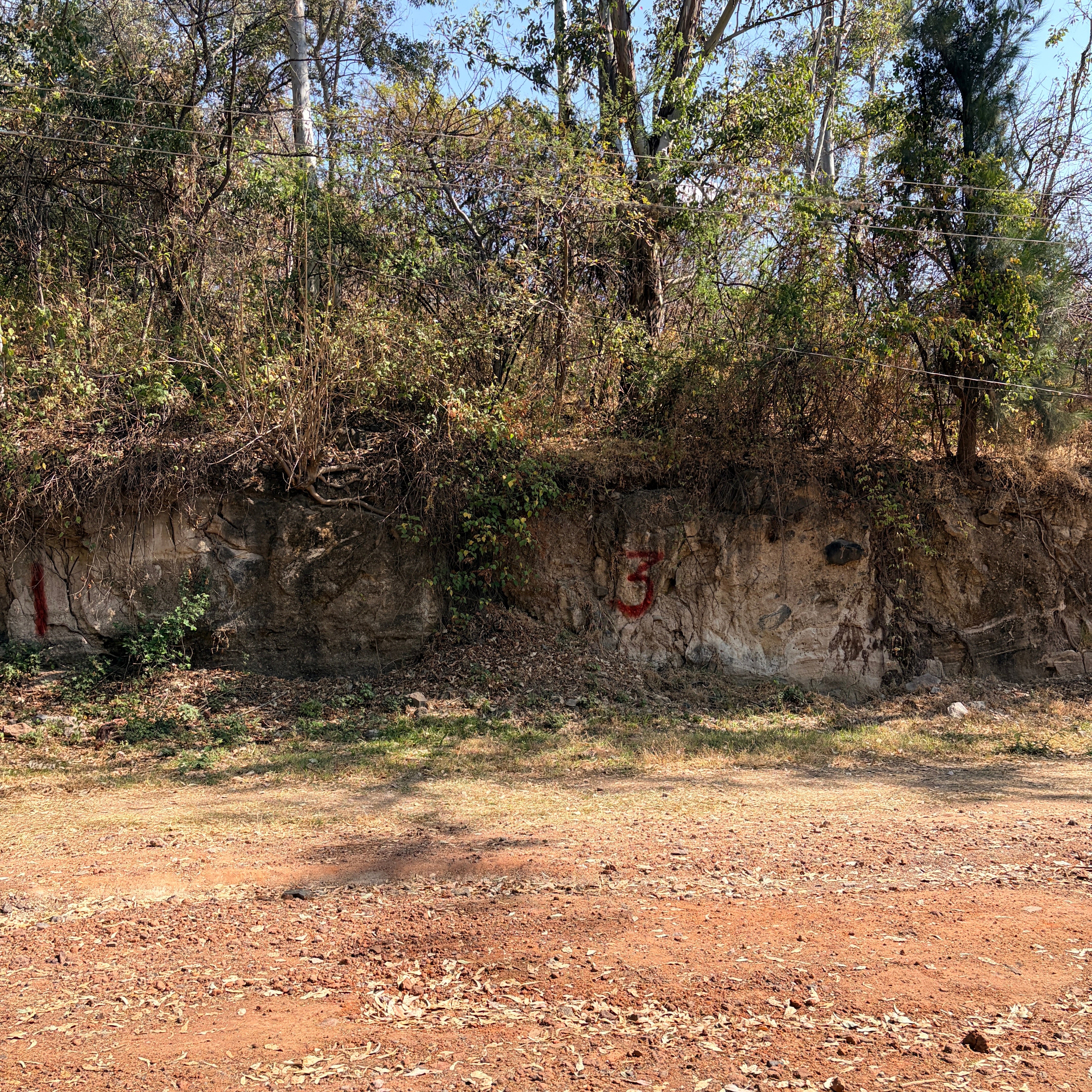 TERRENO RESIDENCIAL • FRACCIONAMIENTO DEL BALNEARIO ATZIMBA • ZINAPÉCUARO