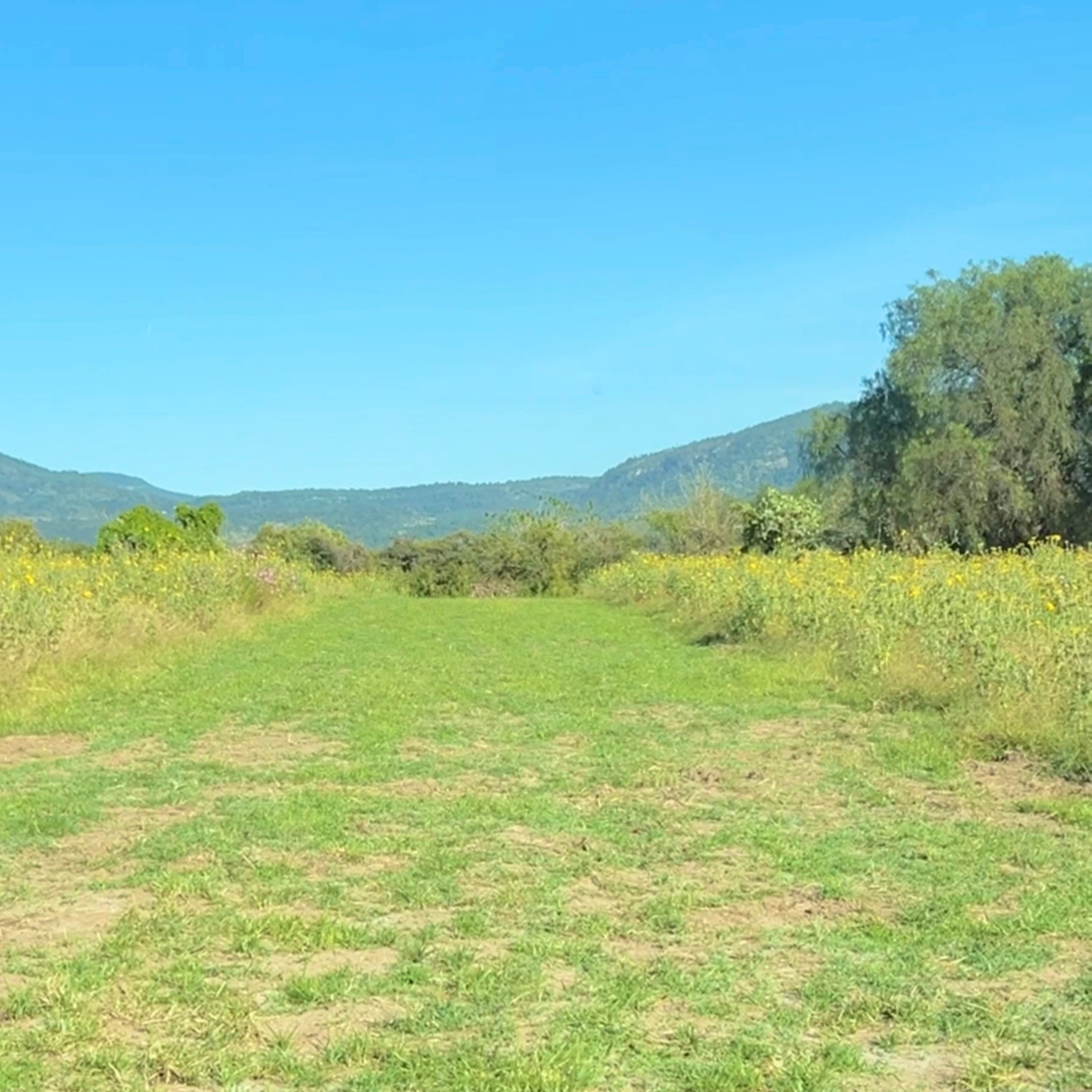 TERRENOS RÚSTICOS A CRÉDITO EN ZINAPÉCUARO MICHOACÁN • RUMBO A LOS BALNEARIOS DE HUINGO