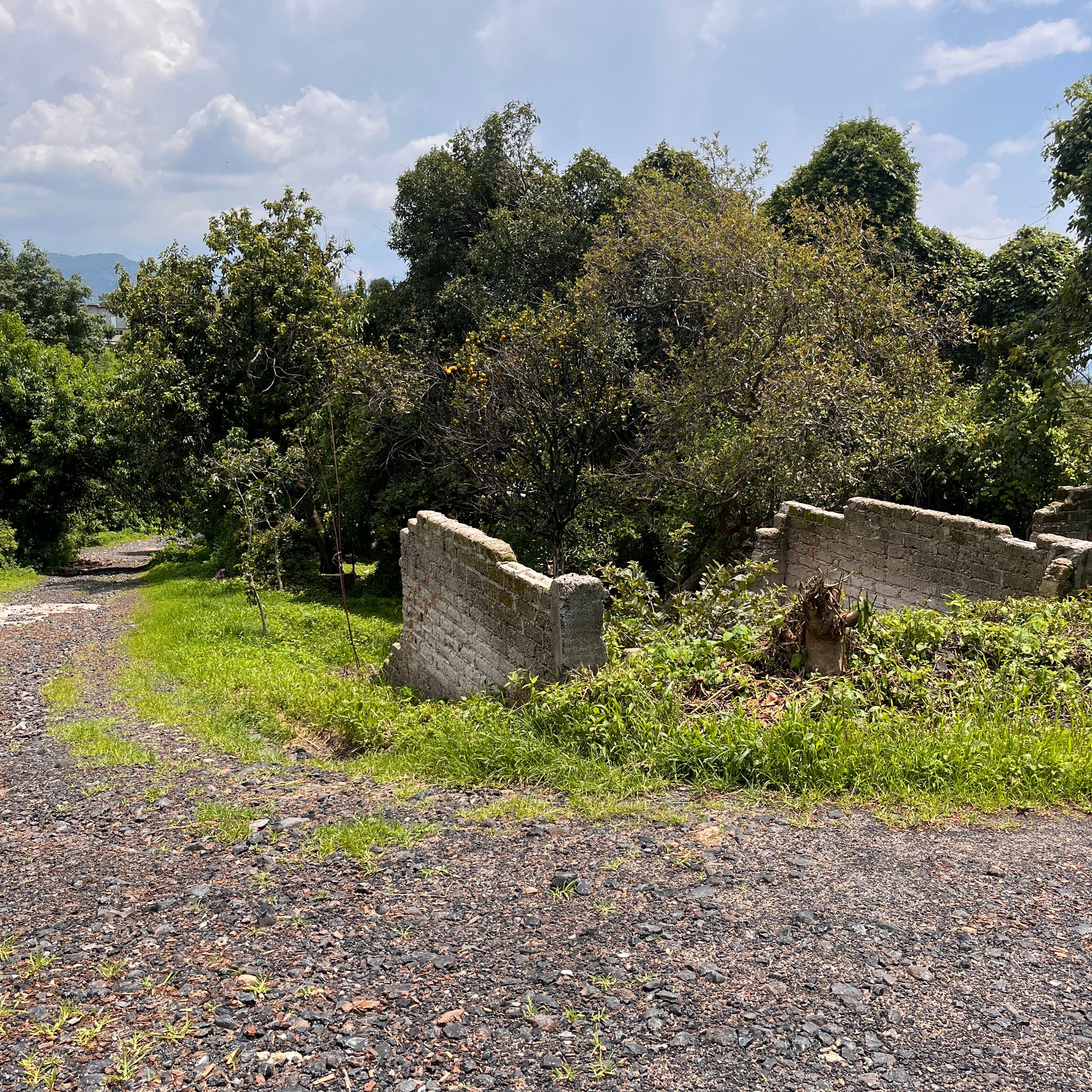 TERRENO EN COLONIA EL DECIERTO EN ZINAPÉCUARO MICHOACÁN